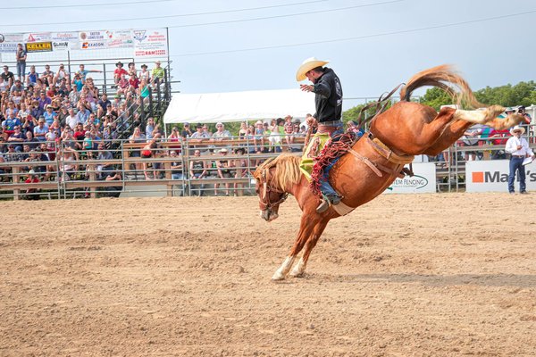 Formation coaching alimentation sportive : maîtrisez la nutrition du sportif